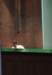 dsc_0011_small.jpg