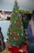 dsc_7547_small.jpg