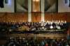 dsc_7230_small.jpg