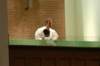 dsc_00131_small.jpg